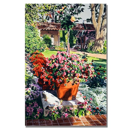 David Lloyd Glover 'Santa Barbra Garden' Canvas Art,26x32